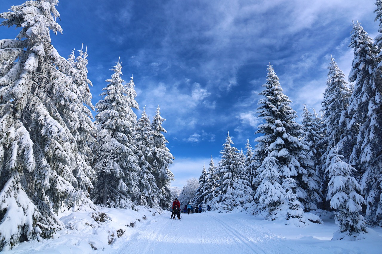 entdecken sie aufregende freizeitaktivitäten, die spaß und abenteuer für die ganze familie bieten. von outdoor-aktivitäten bis hin zu kreativen workshops – finden sie die perfekte möglichkeit, ihre freizeit zu genießen!