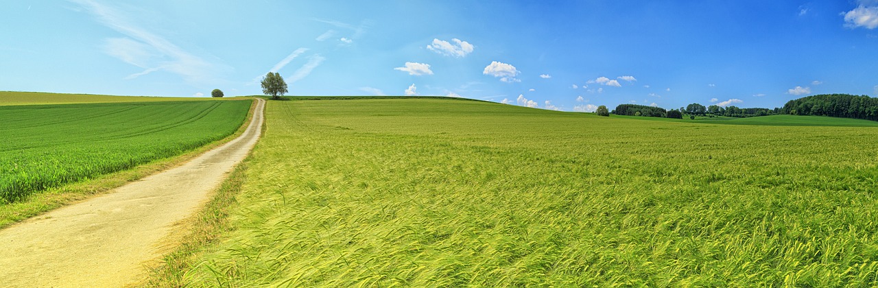 entdecken sie die beauty der natur: von atemberaubenden landschaften über die vielfalt der flora und fauna bis hin zu nachhaltigen erlebnissen im freien. lassen sie sich von der erneuerung und inspiration der natürlichen welt verzaubern.