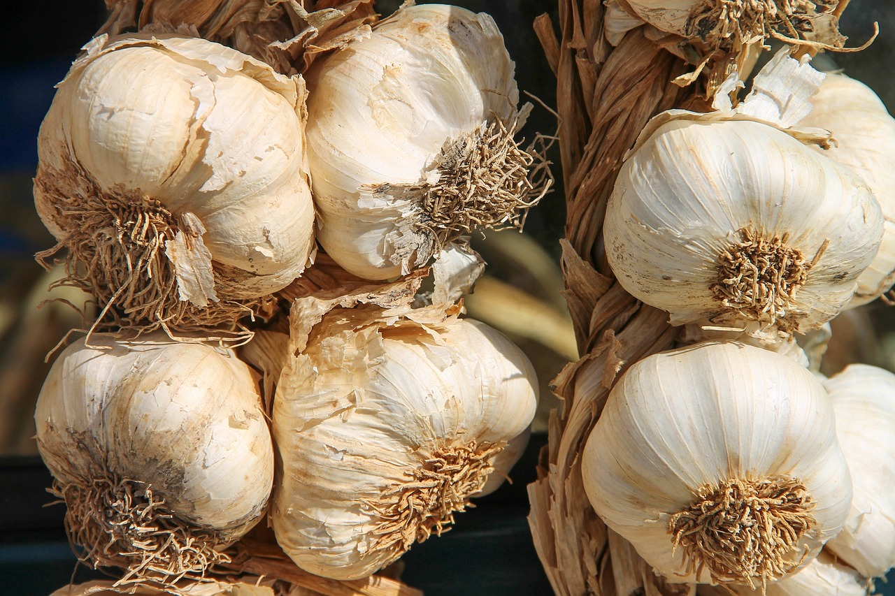 entdecken sie die vielfalt regionaler zutaten, die frische aromen und authentische geschmackserlebnisse bieten. bringen sie die traditionen und köstlichkeiten ihrer region auf den tisch!