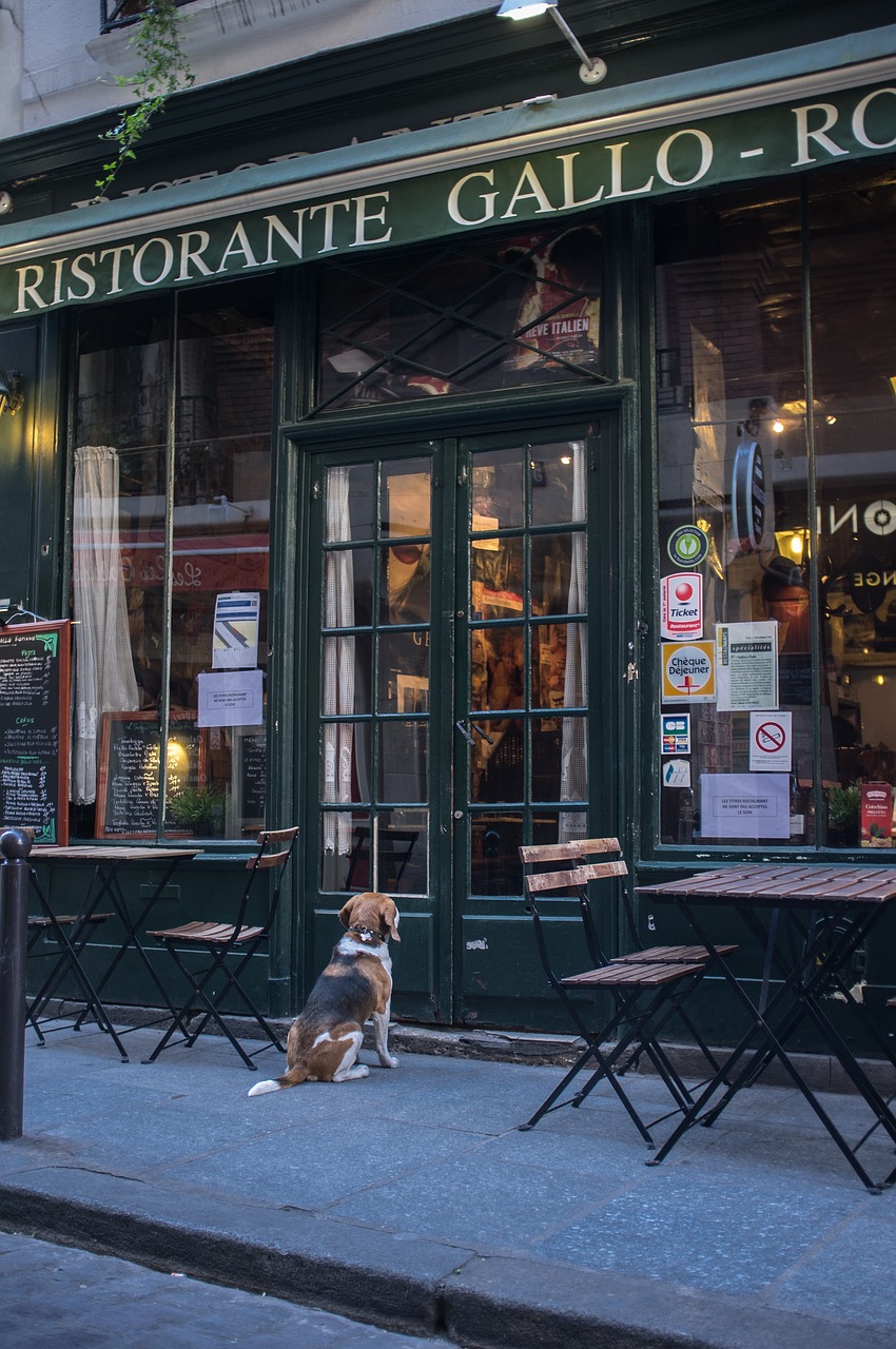 entdecken sie die besten restaurants in ihrer nähe, die köstliche gerichte und einladende atmosphären bieten. von eleganten fine-dining-erlebnissen bis hin zu gemütlichen lokalen – finden sie den perfekten ort für ihr nächstes abendessen!