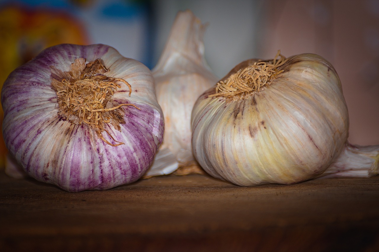 entdecken sie die welt des vegetarismus: gesunde rezepte, ernährungstipps und die vorteile einer fleischfreien ernährung. erfahren sie, wie sie kreativ und abwechslungsreich vegetarisch kochen können und die umwelt sowie ihr wohlbefinden fördern.