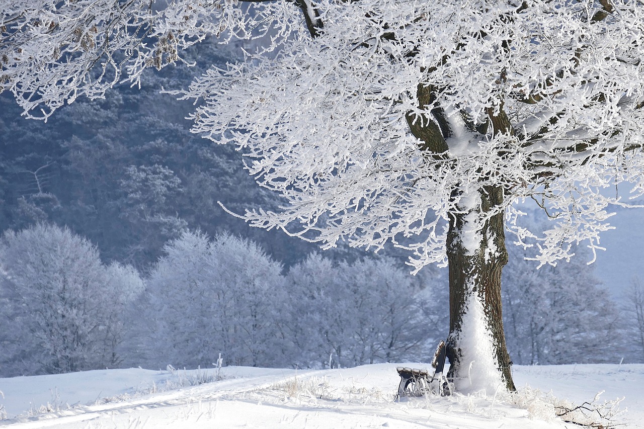 entdecken sie die zauberhafte winterwelt voller glitzernder schneelandschaften, festlicher lichter und unvergesslicher erlebnisse. lassen sie sich von der wintermagie verzaubern!