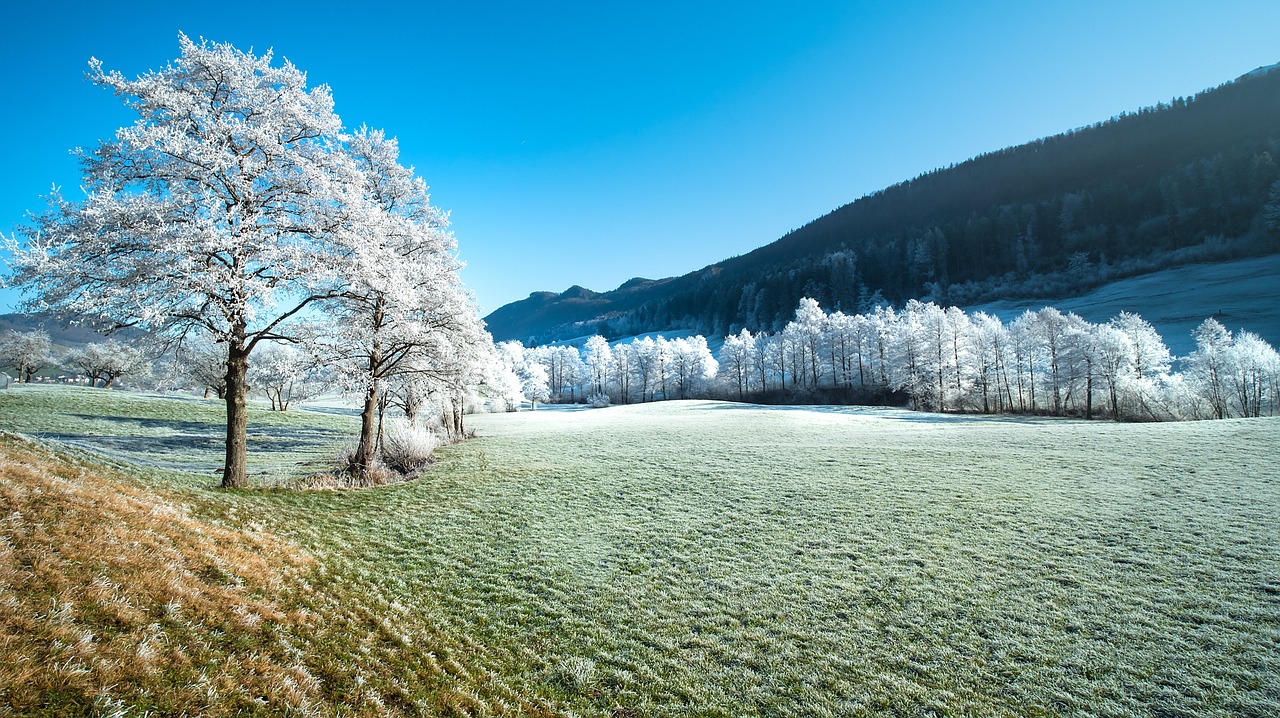 erleben sie die zauberhafte wintermagie mit schneebedeckten landschaften, festlichen lichtern und unvergesslichen momenten im herzen der kalten jahreszeit.