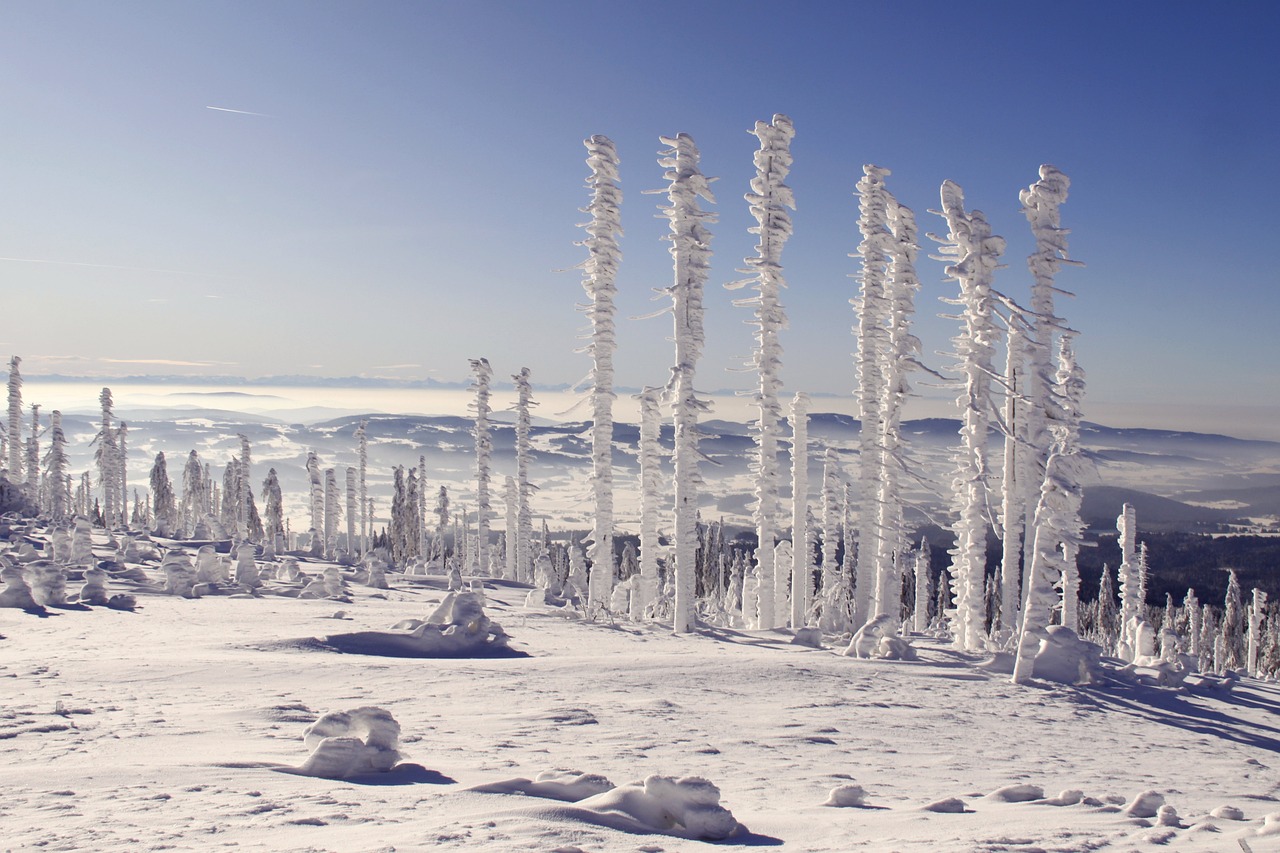 entdecken sie die zauberhafte wintermagie – eine welt voller funkelnder schneelandschaften, festlicher stimmung und unvergesslicher erlebnisse. lassen sie sich von der schönheit des winters verzaubern und genießen sie die außergewöhnlichen abenteuer, die diese jahreszeit zu bieten hat.