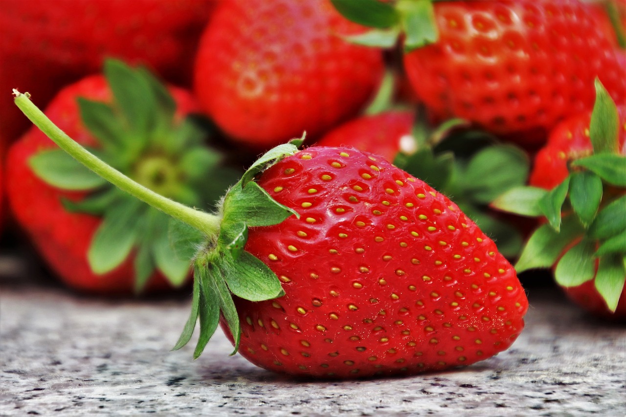 entdecken sie gesunde ernährungsgewohnheiten, die ihnen helfen, sich besser zu fühlen und fit zu bleiben. von nahrhaften rezepten bis hin zu hilfreichen tipps bietet unsere seite alles, was sie für eine ausgewogene ernährung benötigen.