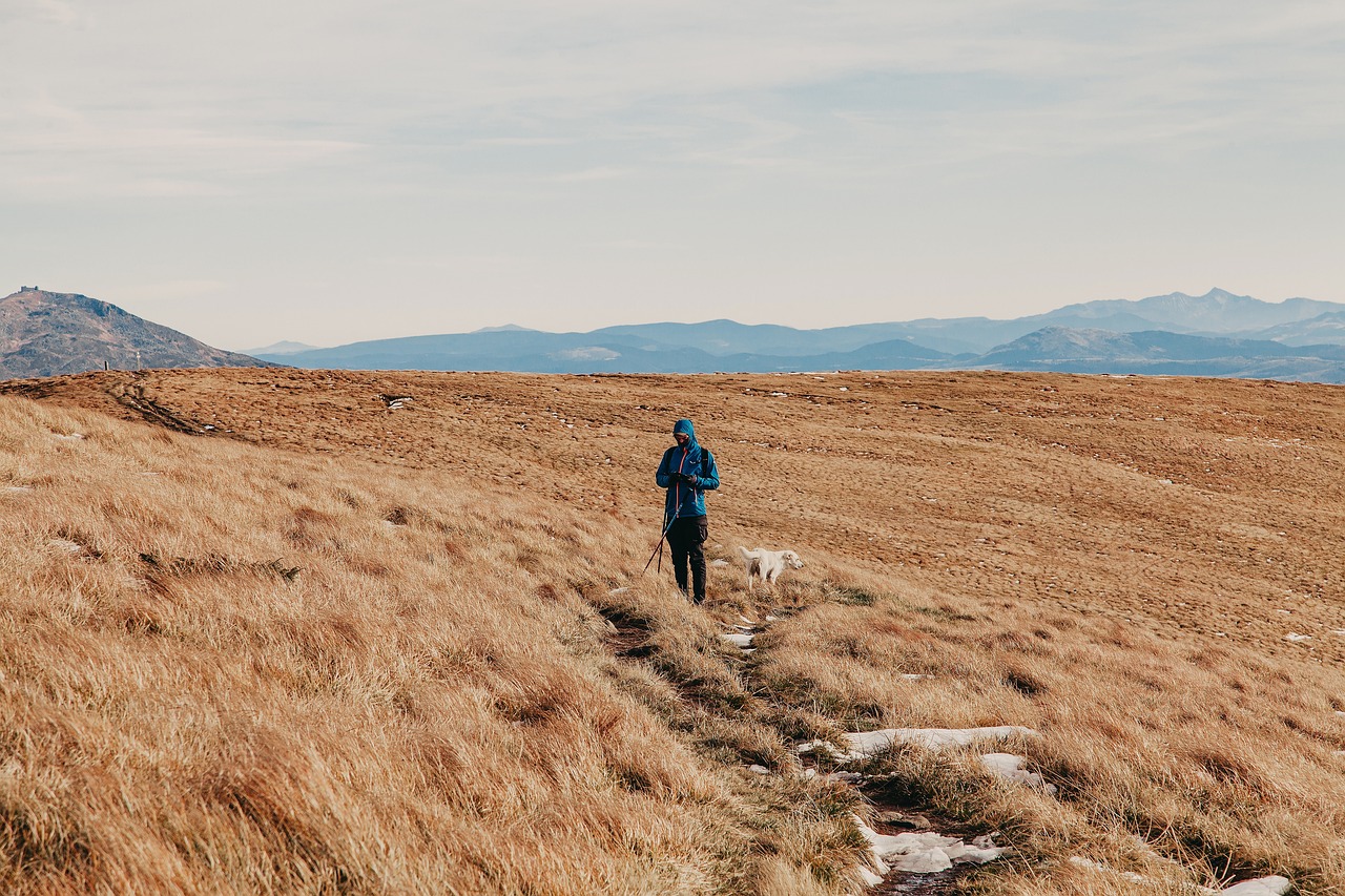 entdecken sie aufregende abenteuer und erleben sie unvergessliche momente in der natur. tauchen sie ein in neue herausforderungen und erkunden sie faszinierende orte, die ihre abenteuerlust wecken.