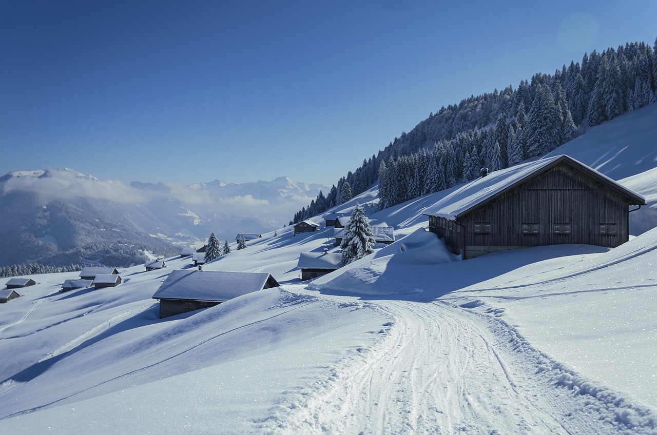 entdecken sie den ultimativen winterspaß mit einer vielzahl von aktivitäten, von skifahren über snowboarden bis hin zu winterwanderungen. genießen sie die schneebedeckte landschaft und unvergessliche erlebnisse im winter!