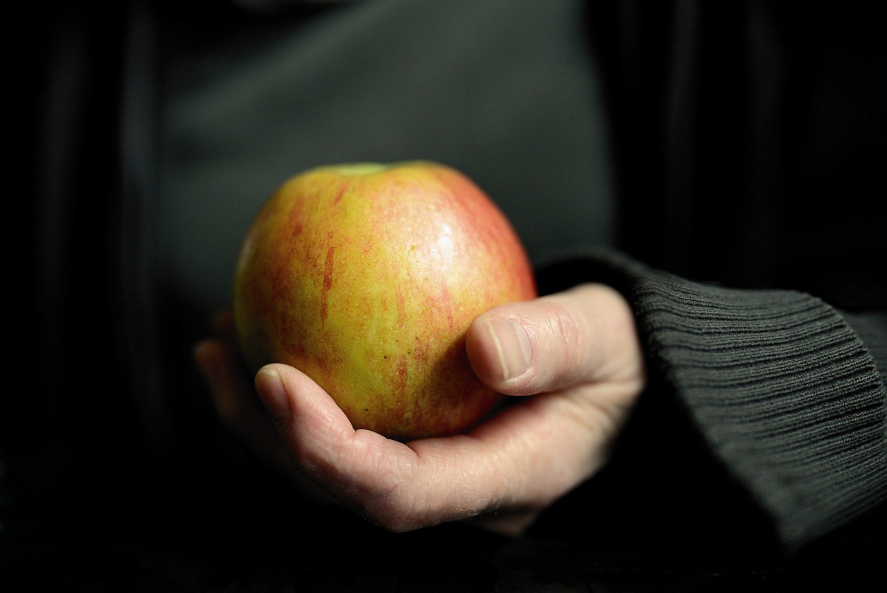 entdecken sie die vorteile einer ausgewogenen ernährung für ihre gesundheit und ihr wohlbefinden. erfahren sie, wie sie ihre mahlzeiten gestalten können, um alle nötigen nährstoffe zu erhalten und ein gesundes leben zu führen.