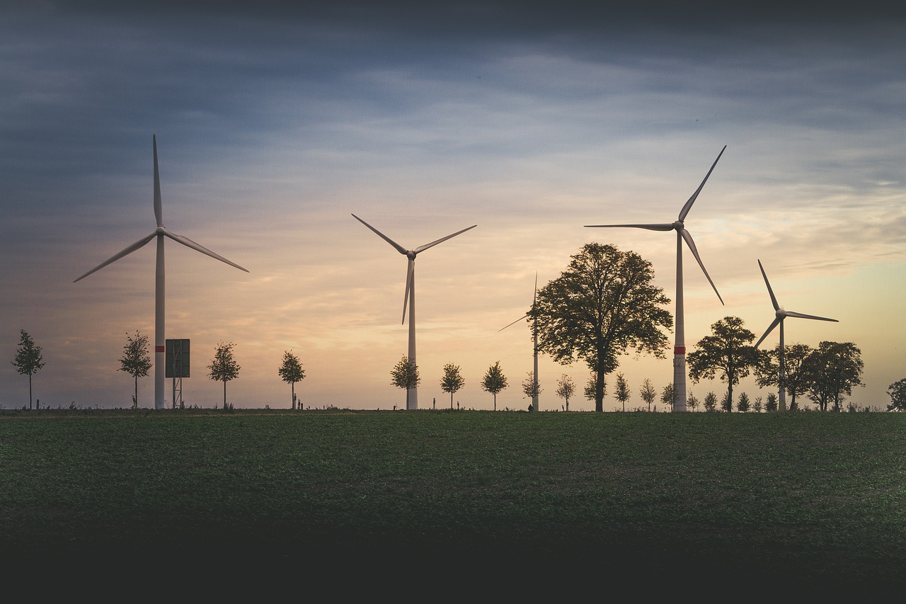 fördern sie ihr bewusstsein für die umwelt, entdecken sie tipps und ressourcen für einen nachhaltigeren lebensstil und lernen sie, wie kleine veränderungen einen großen unterschied machen können.