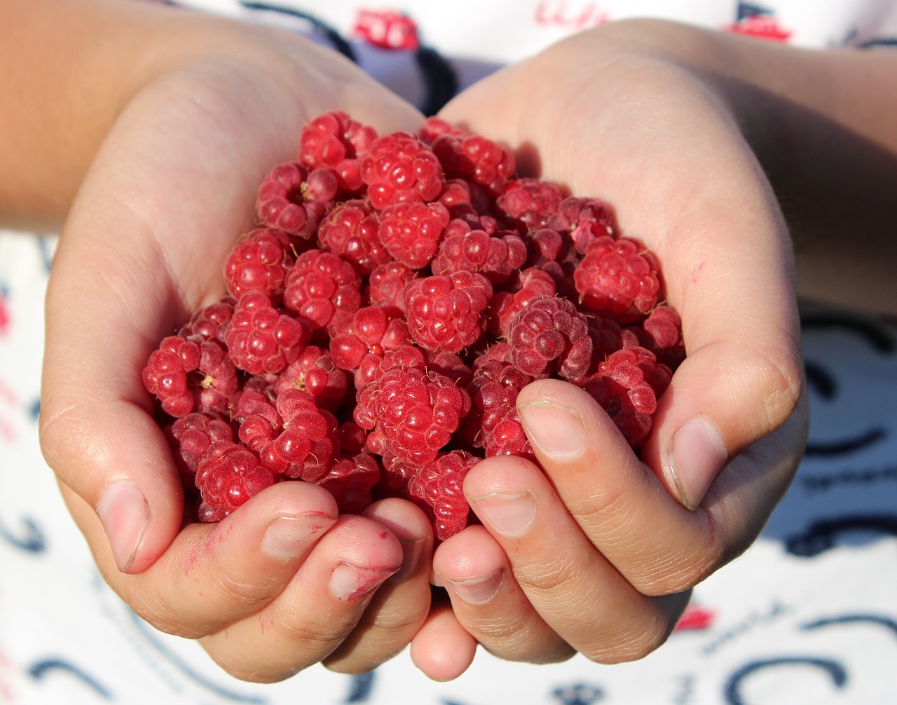 entdecken sie die vorteile von fermentierten lebensmitteln für ihre gesundheit. verbessern sie ihre verdauung, stärken sie ihr immunsystem und steigern sie ihr allgemeines wohlbefinden mit leckeren, probiotischen nahrungsmitteln.