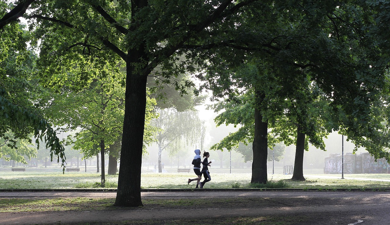 entdecken sie die besten tipps und strategien für ein effektives fitness-training. verbessern sie ihre gesundheit, steigern sie ihre kraft und erreichen sie ihre ziele mit maßgeschneiderten trainingsprogrammen und ernährungsanleitungen.