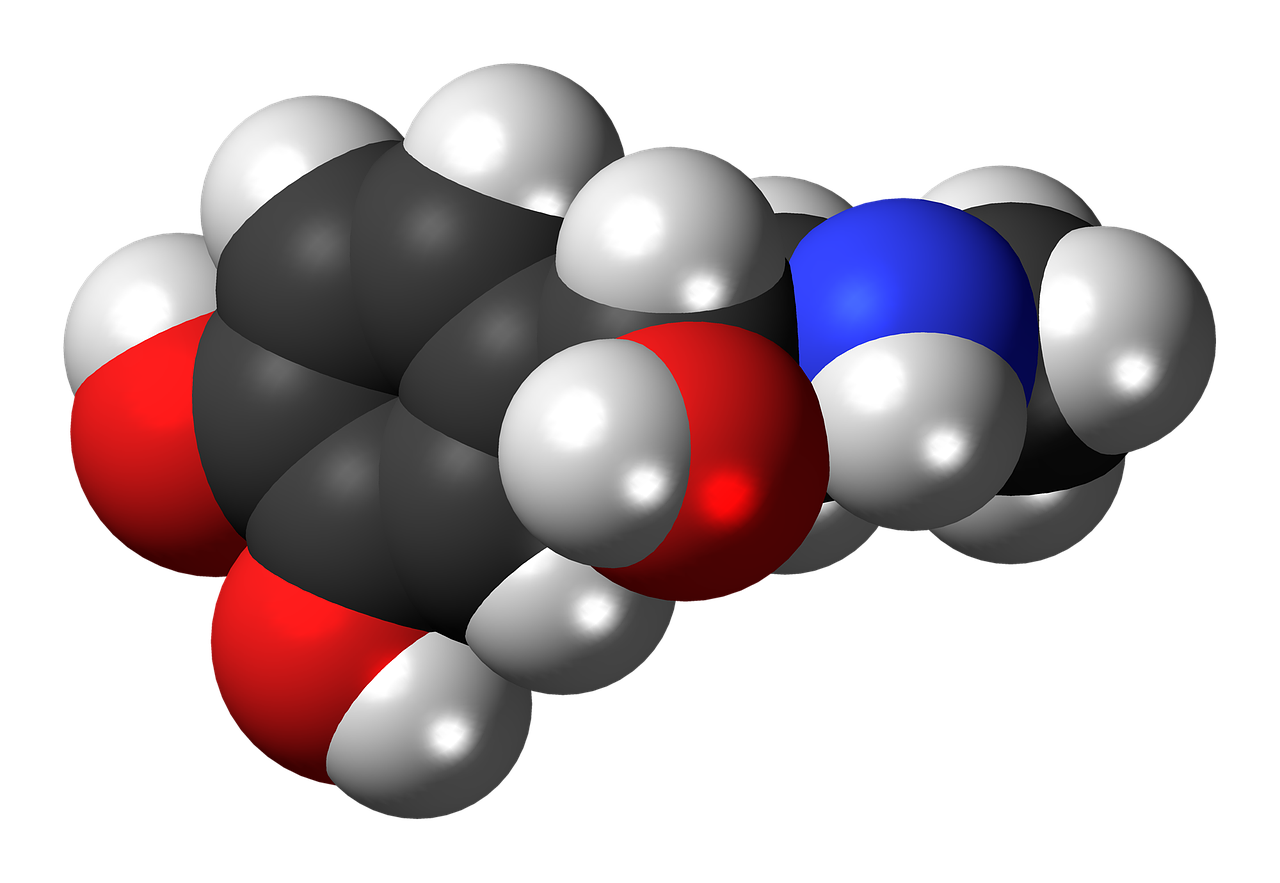 entdecken sie die faszinierende welt der hormone und deren einfluss auf unseren körper. erfahren sie, wie hormone unsere stimmung, energie und gesundheit regulieren und lernen sie, wie ein ausgewogenes hormonsystem ihr wohlbefinden fördert.