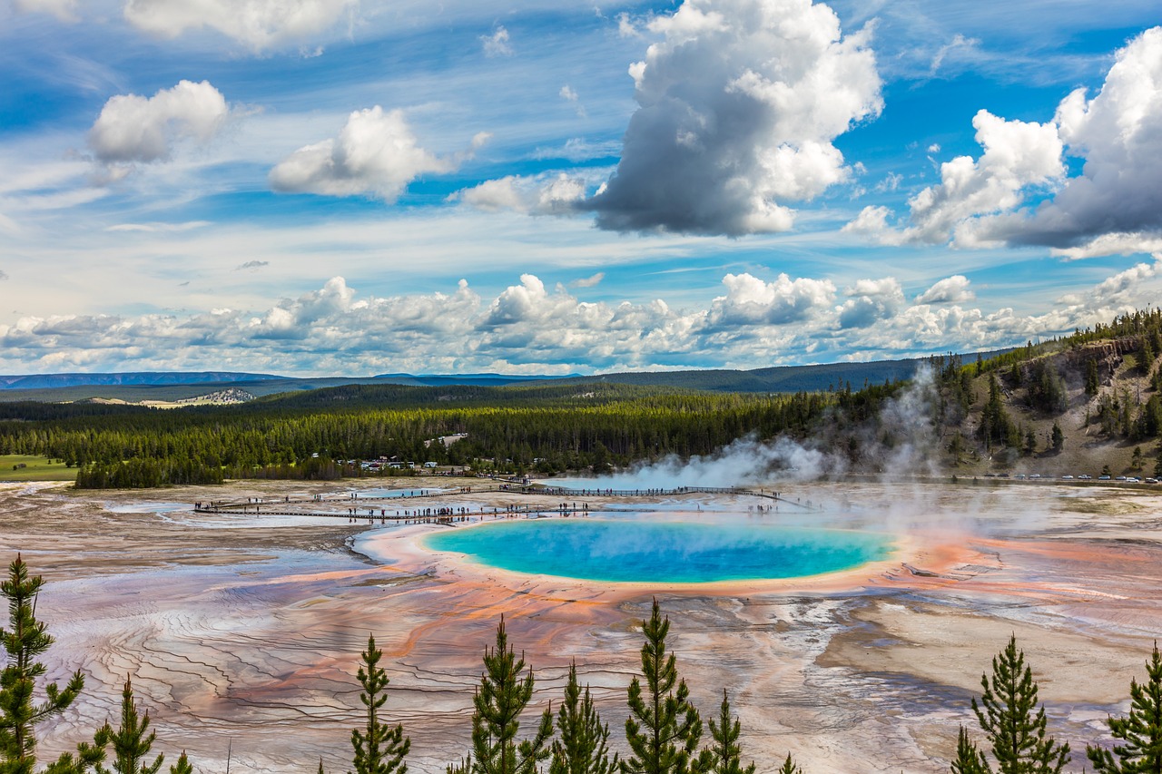 entdecken sie die faszinierenden nationalparks deutschlands, wo atemberaubende natur und vielfältige tierwelt auf sie warten. erleben sie unvergessliche abenteuer in unberührten landschaften und tauchen sie ein in die schönheit der deutschen natur.