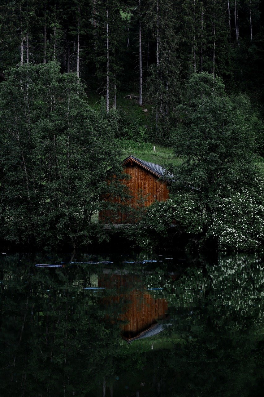 entdecken sie die schönheit der natur: erleben sie atemberaubende landschaften, faszinierende tierwelt und inspirierende outdoor-aktivitäten. tauchen sie ein in die vielfalt und harmonie der natürlichen umgebung.