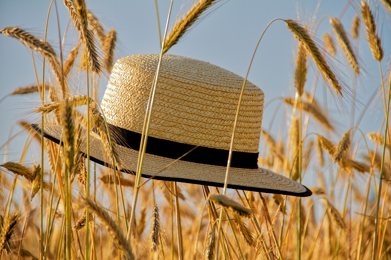 entdecken sie die freude des sommers! genießen sie sonnige tage, erfrischende aktivitäten im freien und entspannende abende mit freunden und familie. lassen sie sich von der warmen jahreszeit inspirieren und erleben sie unvergessliche momente im sommer.