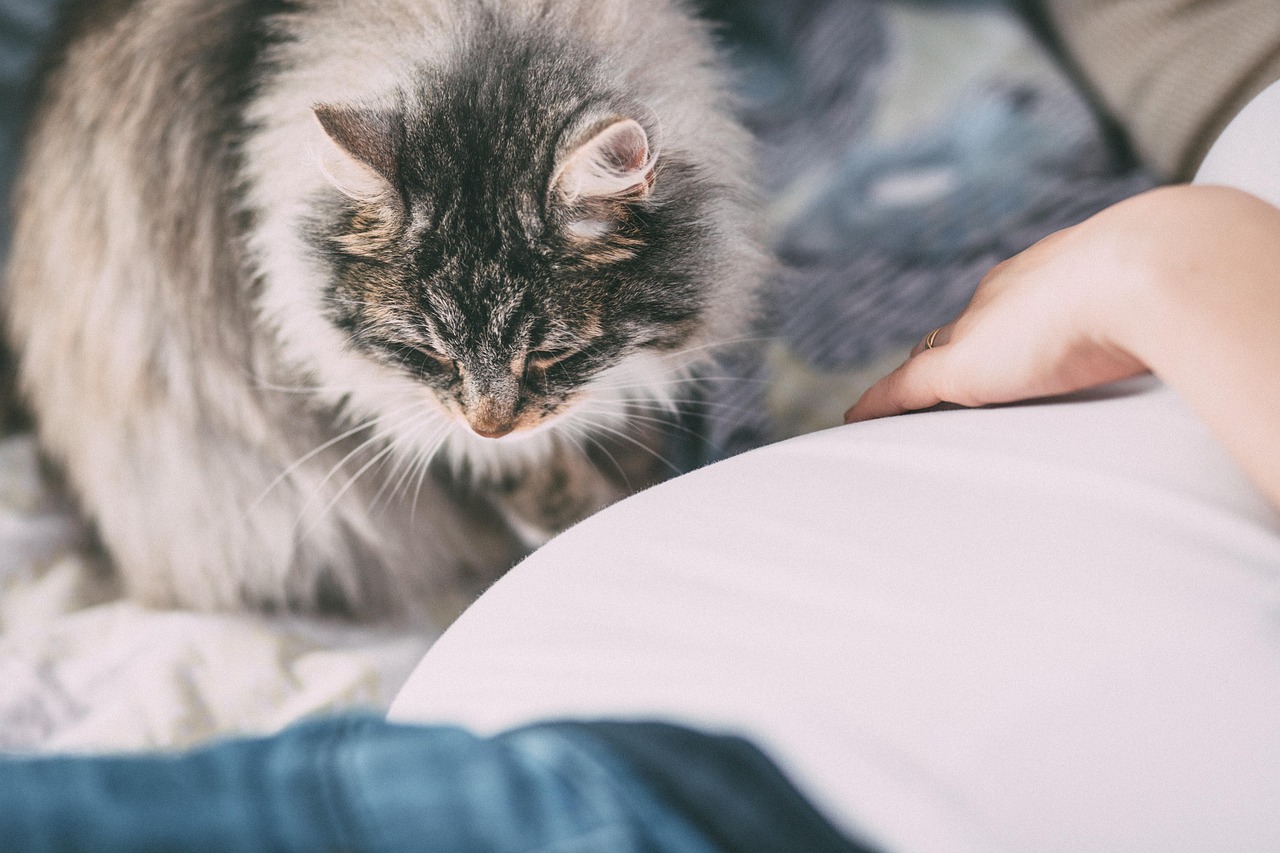 entdecken sie alles über allergien: ursachen, symptome und effektive behandlungsmöglichkeiten. informieren sie sich, wie sie allergien vorbeugen und ihr wohlbefinden steigern können.