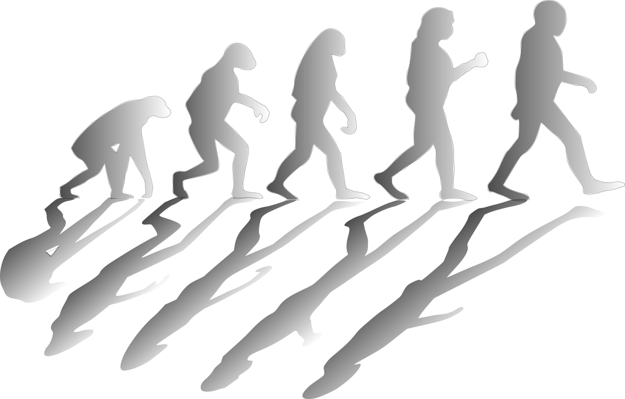 entdecken sie die faszinierenden aspekte der evolution, von der entstehung des lebens bis zur entwicklung der arten. tauchen sie ein in die wissenschaft hinter biologischen veränderungen und den einfluss von umweltfaktoren auf die diversität des lebens auf der erde.