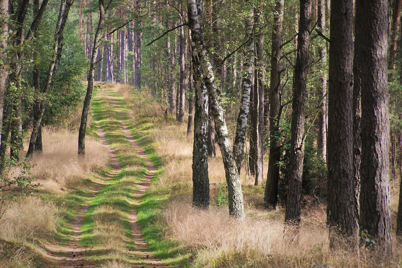 frische luft: erleben sie die belebende kraft der natur und genießen sie die vorteile von sauberer, frischer luft für körper und geist.