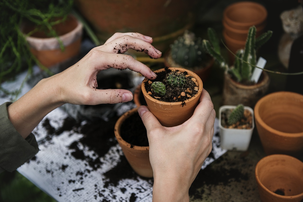 entdecken sie die besten tipps und tricks für das gärtnern. von der pflanzenpflege bis zur landschaftsgestaltung – verwandeln sie ihren garten in ein blühendes paradies!