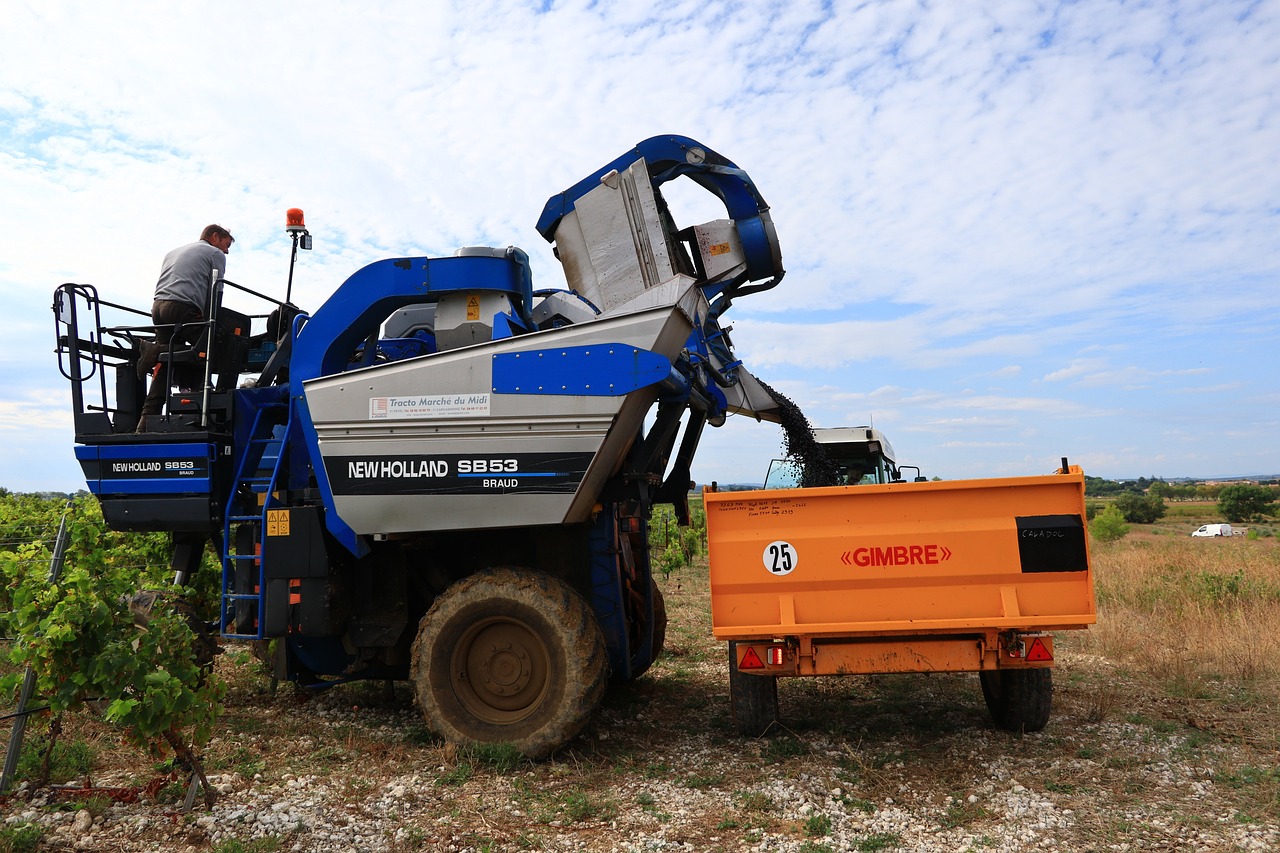 erforschen sie die verschiedenen techniken und methoden des erntens, um optimale ergebnisse aus ihren feldern zu erzielen. lernen sie die besten praktiken für eine erfolgreiche ernte und nachhaltige landwirtschaft kennen.