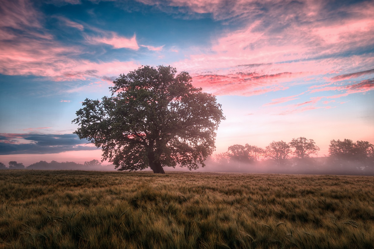 entdecken sie die faszinierende vielfalt der natur – von atemberaubenden landschaften über einzigartige tierarten bis hin zu beeindruckenden pflanzenwelten. lassen sie sich inspirieren und erfahren sie mehr über die wunder, die unsere umwelt zu bieten hat.