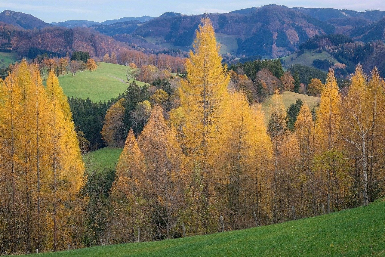 entdecken sie die faszinierende schönheit der natur. von majestätischen bergen bis zu beruhigenden waldlandschaften – erleben sie die vielfalt und den frieden, den die natur zu bieten hat.