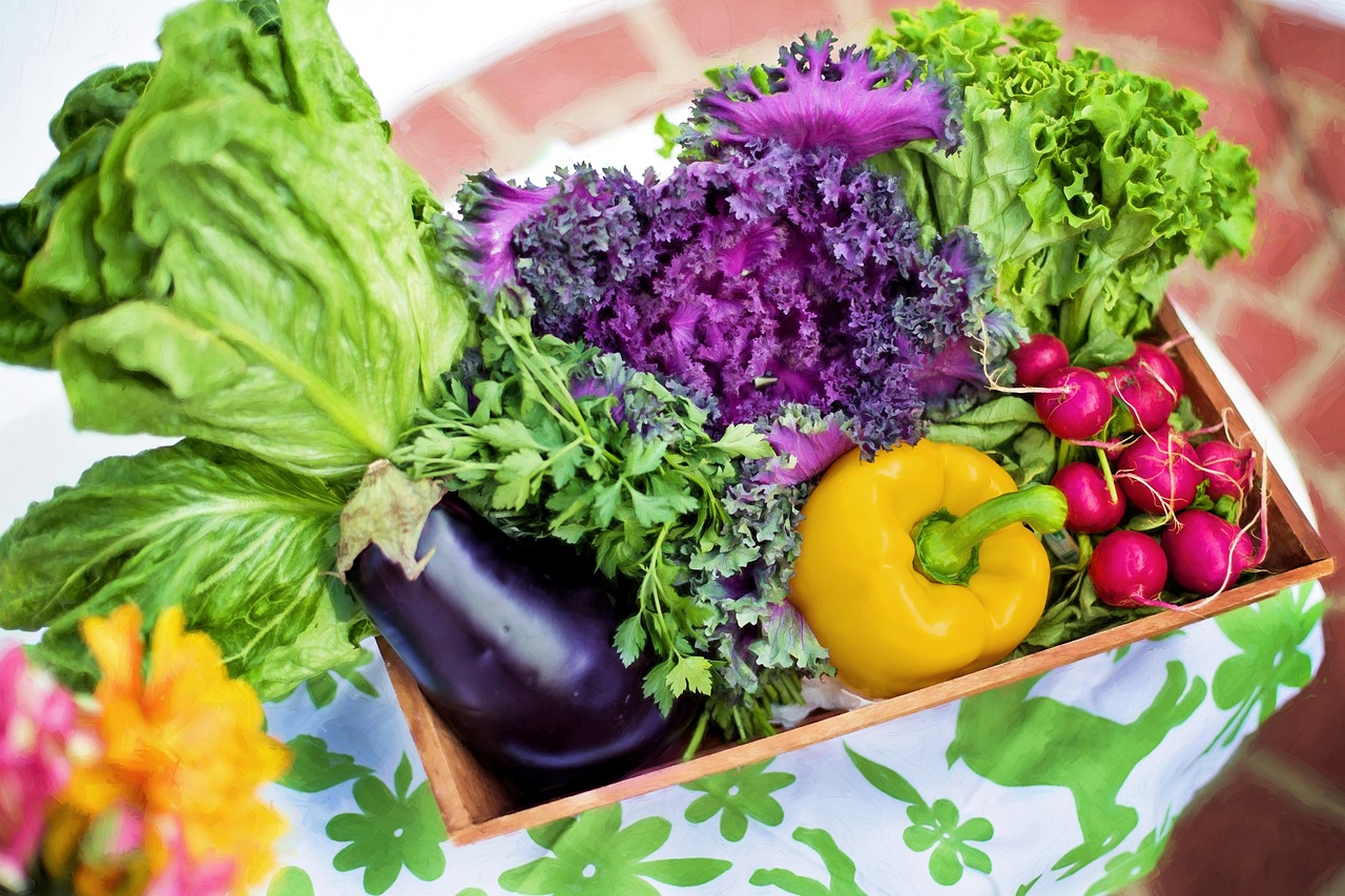 entdecken sie die welt der ernährung! erfahren sie alles über gesunde ernährung, ernährungstipps und leckere rezepte für eine ausgewogene lebensweise.