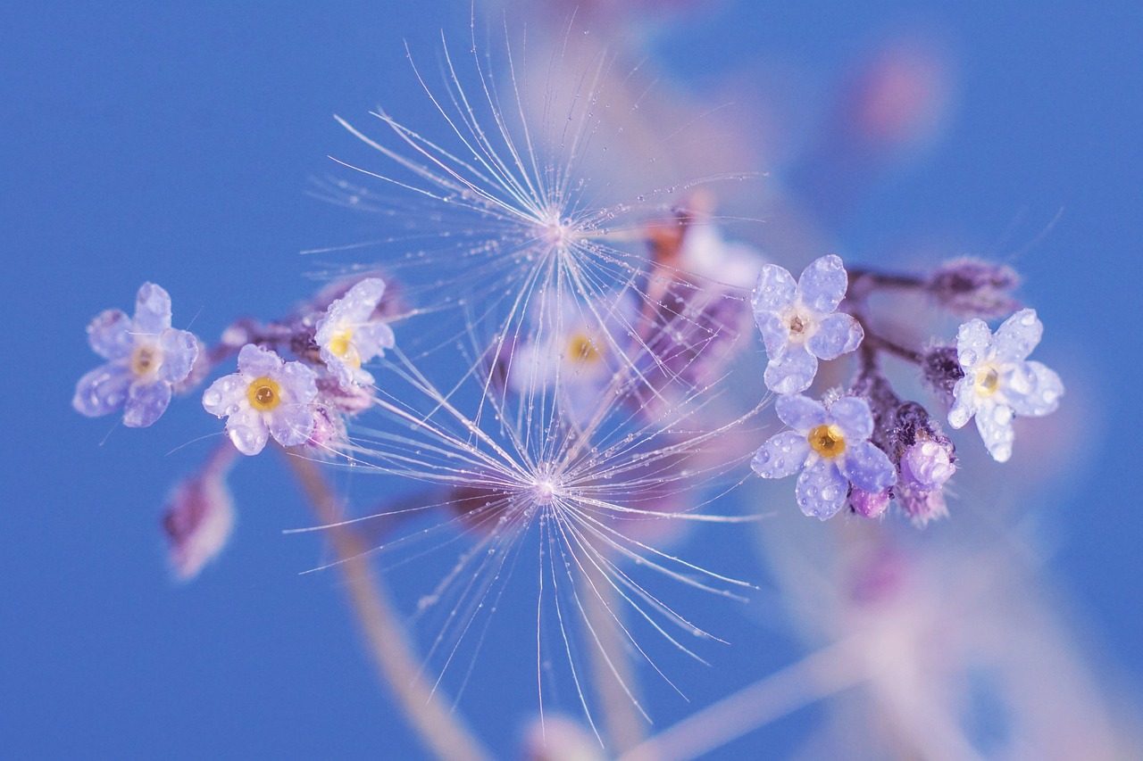 entdecken sie die schönheit des frühlings! genießen sie die bunten blumen, die warmen sonnenstrahlen und die frische luft. der frühling bringt neues leben – ideal für outdoor-aktivitäten und unvergessliche erlebnisse in der natur.