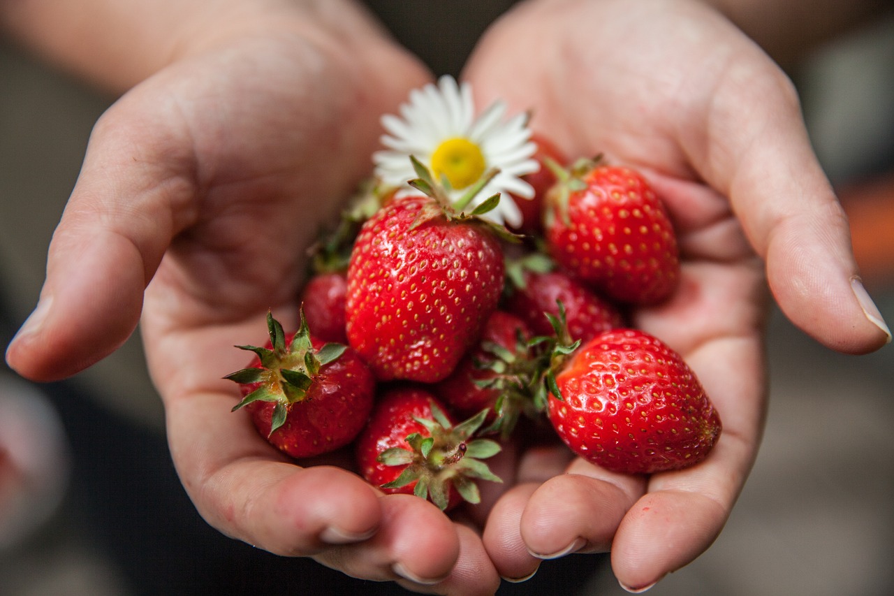 entdecken sie gesunde ernährungstipps, leckere rezepte und praktische ratschläge, um ihre gesundheit zu verbessern und ein ausgewogenes leben zu führen. erfahren sie, wie sie nahrhafte lebensmittel in ihren alltag integrieren können.