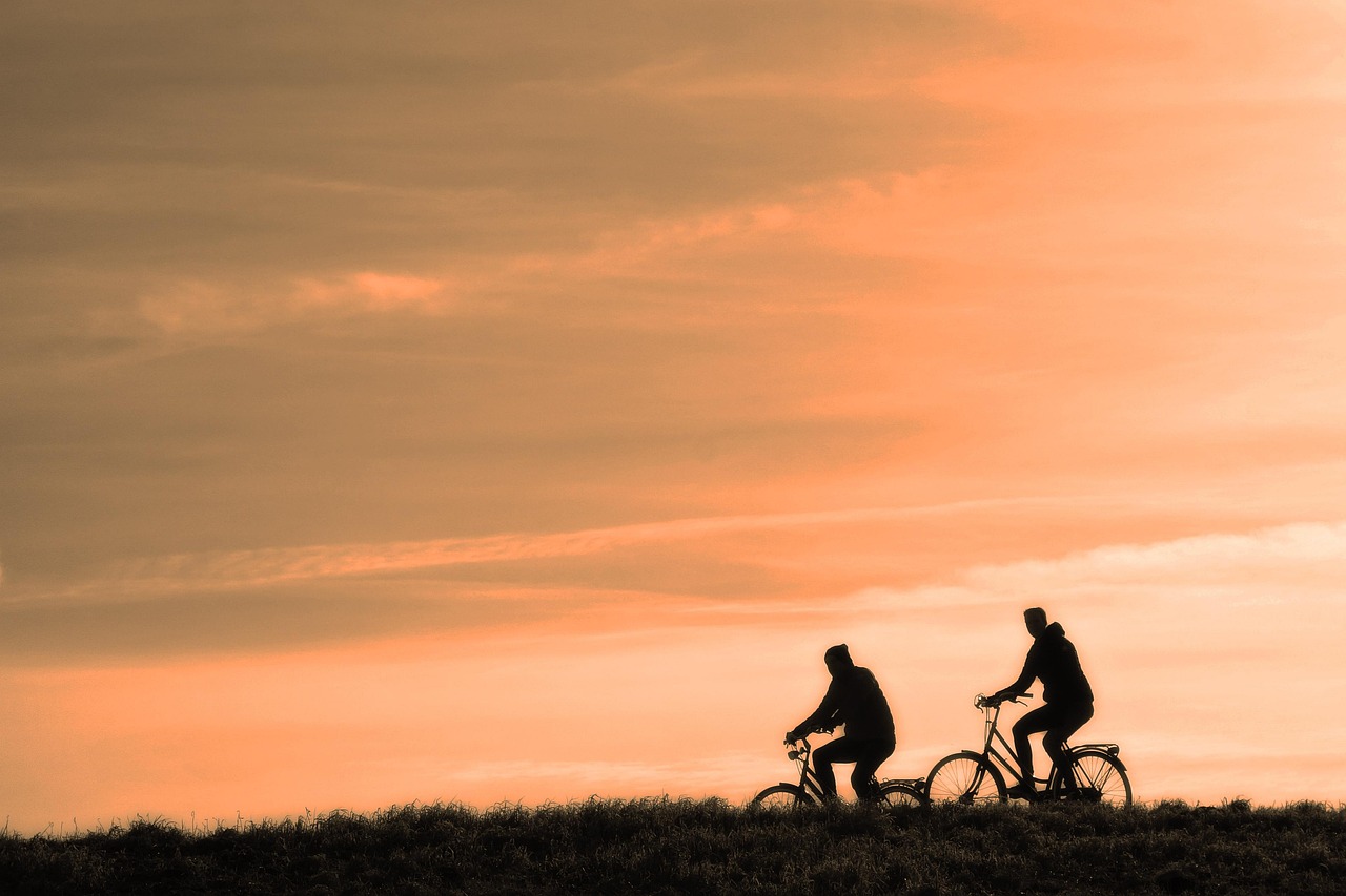 entdecken sie effektive übungen zur verbesserung ihrer fitness und ihres wohlbefindens. von krafttraining bis yoga – finden sie die besten tipps und routinen für jeden fitnesslevel.