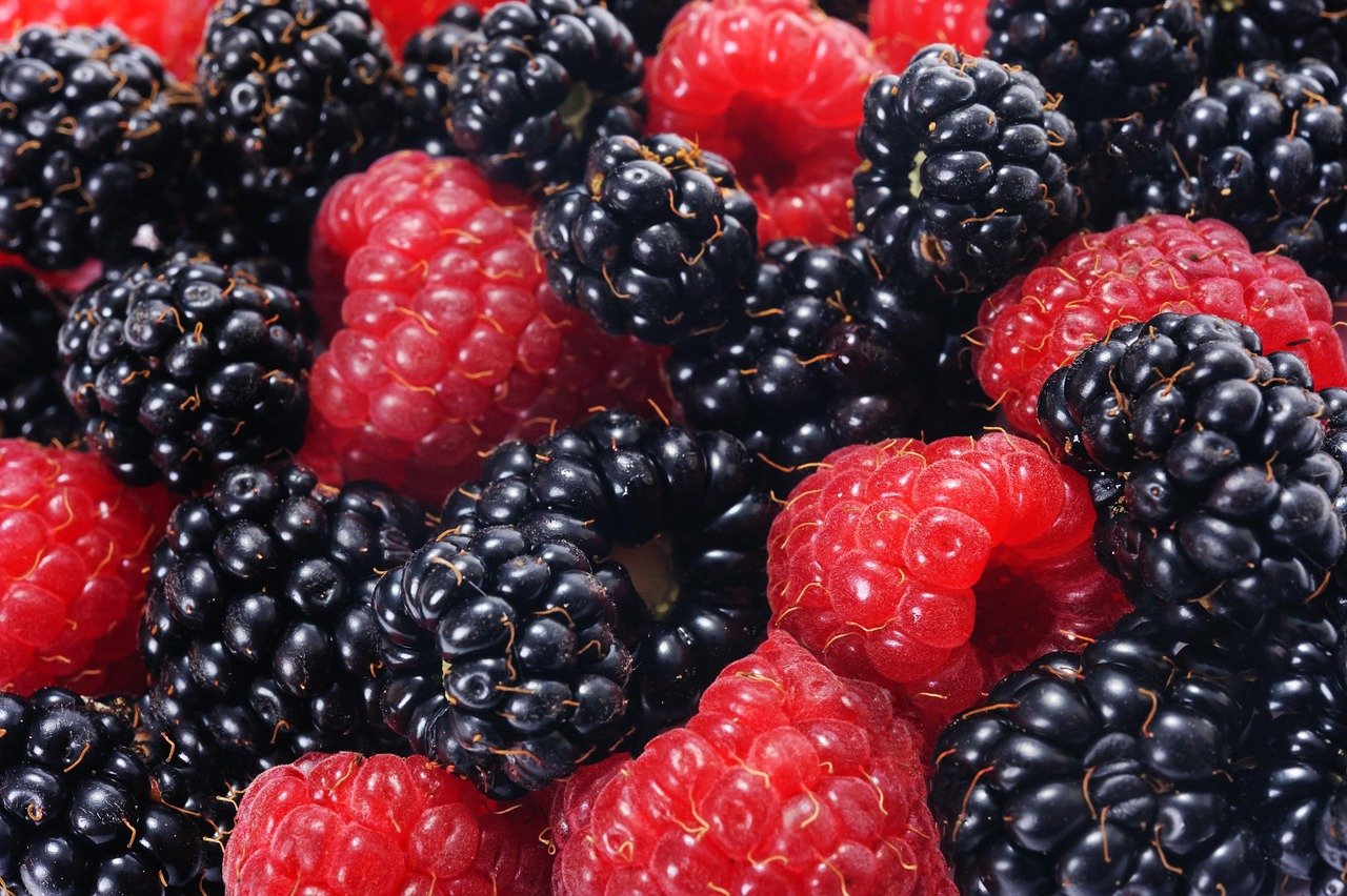 entdecken sie die besten tipps und strategien für ihre gesundheit. von ernährung über fitness bis zu mentaler wohlbefinden – alles, was sie brauchen, um ein gesundes leben zu führen.