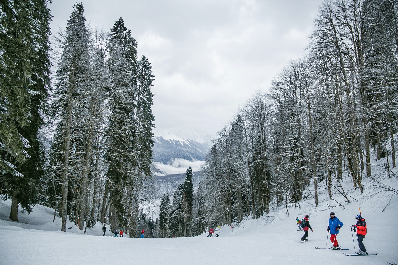 entdecken sie spannende freizeitaktivitäten, die für jede altersgruppe geeignet sind. von outdoor-abenteuern bis zu kreativen workshops – finden sie die perfekte möglichkeit, ihre freizeit zu gestalten und unvergessliche erlebnisse zu sammeln.