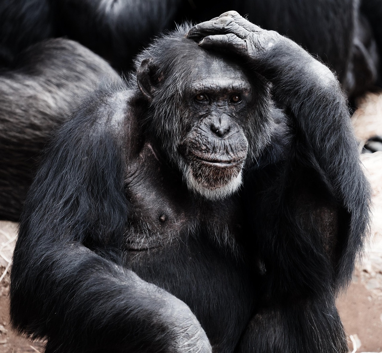 entdecken sie die grundlagen des wissenschaftlichen denkens. erfahren sie, wie kritisches denken und analytische fähigkeiten unsere sichtweise auf die welt formen und zur lösung komplexer probleme beitragen. perfekt für studenten und wissenschaftler!