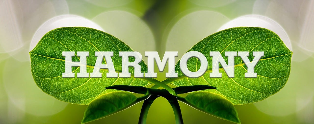 entdecken sie die harmonische balance von klängen, farben und gefühlen in unserem neuen projekt 'harmony'. tauchen sie ein in eine welt der ruhe und des ausgleichs, wo jede note und jede dimension zum inneren frieden beiträgt.
