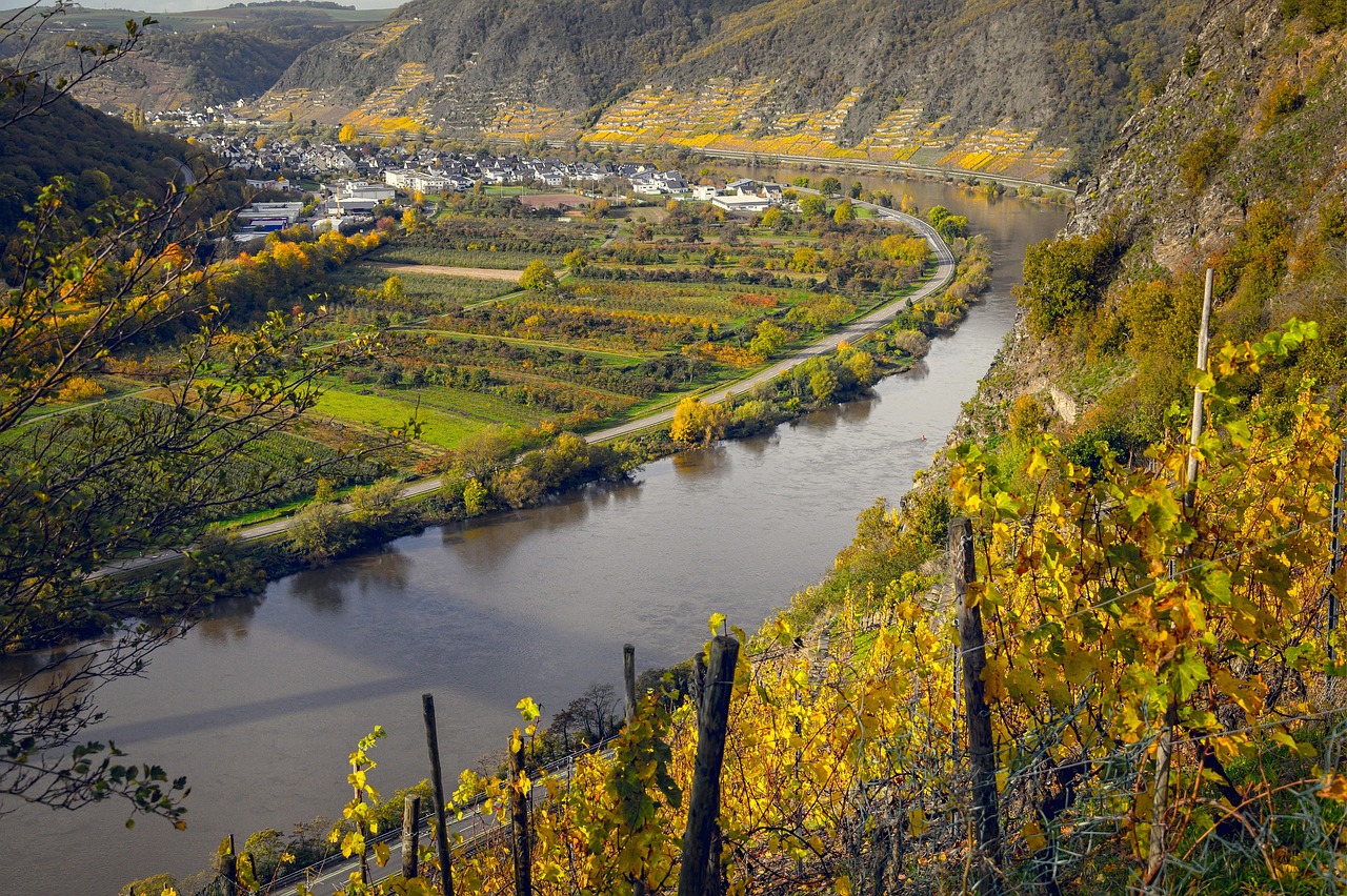 entdecken sie die welt des weinverbrauchs: von den verschiedenen weinsorten und deren herkunft bis zu den aktuellen trends und statistiken. erfahren sie mehr über die vorlieben der konsumenten und die auswirkungen auf die weinindustrie.