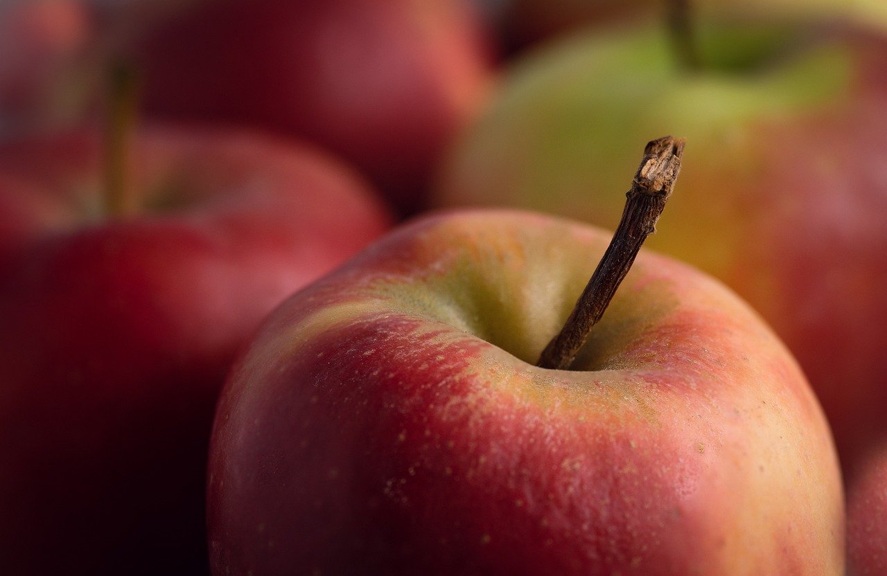 entdecken sie umfassende informationen und tipps zur gesundheit, um ihr wohlbefinden zu fördern und ein gesundes leben zu führen. von ernährung über fitness bis zu mentaler gesundheit – wir bieten ihnen wertvolle ressourcen für eine bessere lebensqualität.