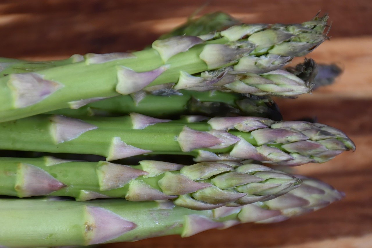 entdecken sie die köstliche welt des spargels: von seinen gesundheitlichen vorteilen bis zu kreativen rezepten. genießen sie die saison dieses edlen gemüses in vollen zügen!