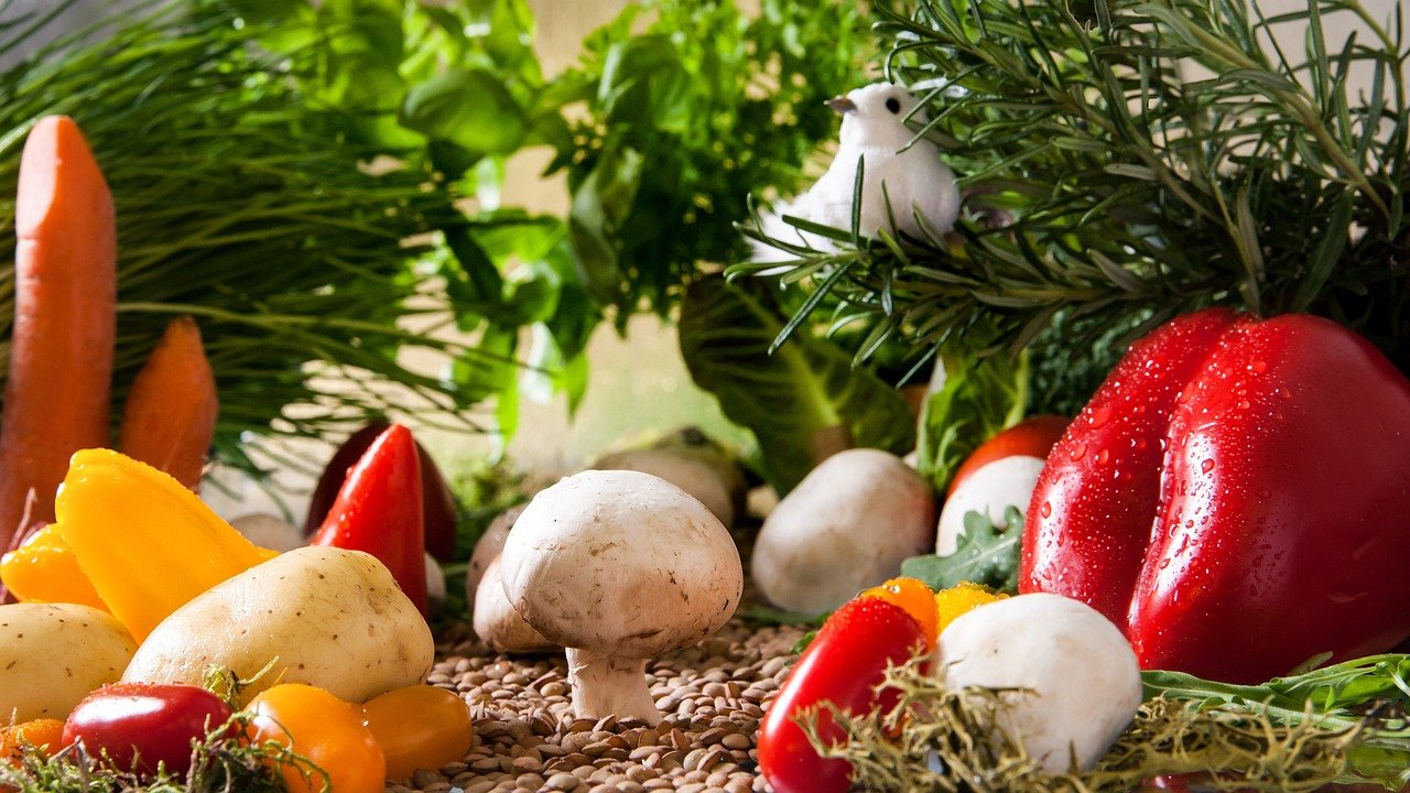 entdecken sie die bio-region, in der nachhaltige landwirtschaft und schmackhafte, biologische produkte im einklang mit der natur stehen. erfahren sie mehr über die vorteile der biologischen ernährung und die vielfalt lokaler spezialitäten.