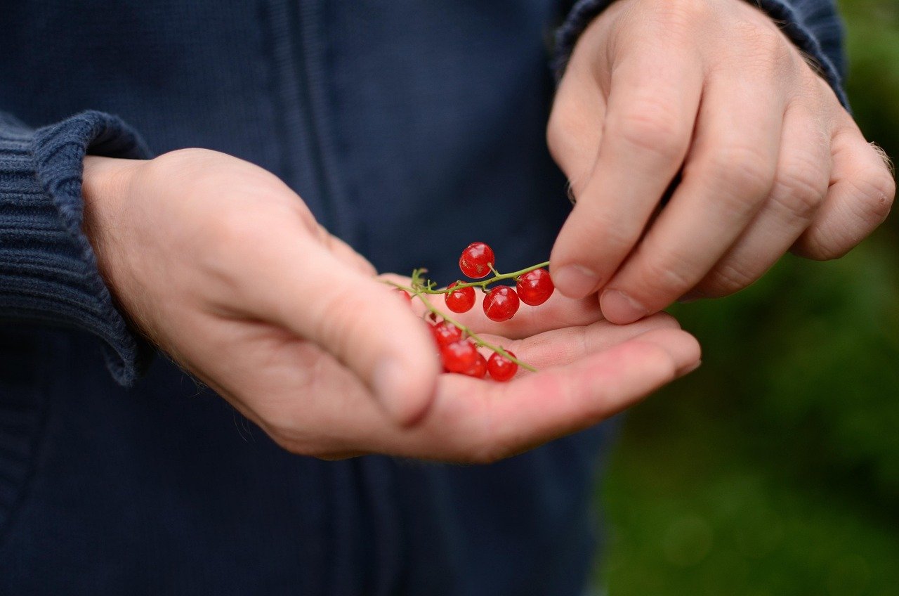 entdecken sie die vielfalt der bio-regionen, in denen nachhaltige landwirtschaft und natürliche produkte im mittelpunkt stehen. erfahren sie mehr über die vorteile von biologisch erzeugten lebensmitteln und unterstützen sie lokale bauern.