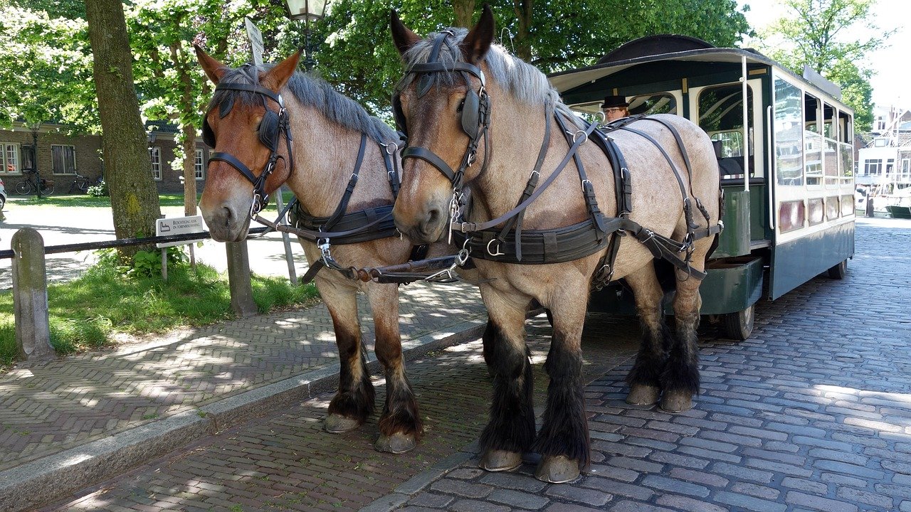 entdecken sie die faszinierende welt der pferdebahn! erleben sie spannende fahrten in dieser einzigartigen attraktion, die den charme von traditionellem reiten mit moderner unterhaltung verbindet. perfekt für familien und pferdeliebhaber!