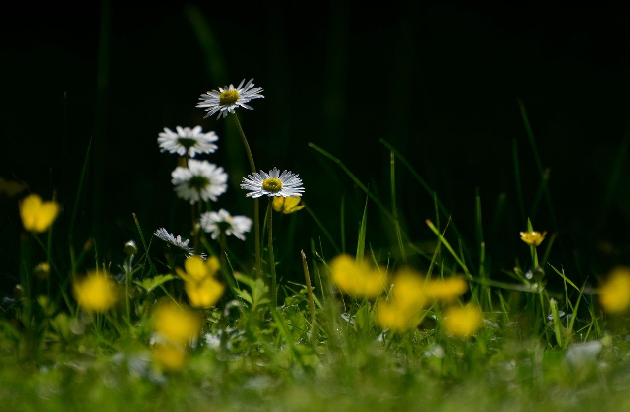 entdecken sie die welt der exotischen delikatessen! lassen sie sich von einzigartigen aromen und köstlichen spezialitäten aus fernen ländern verführen. genießen sie ein unvergessliches geschmackserlebnis, das ihre sinne begeistert.