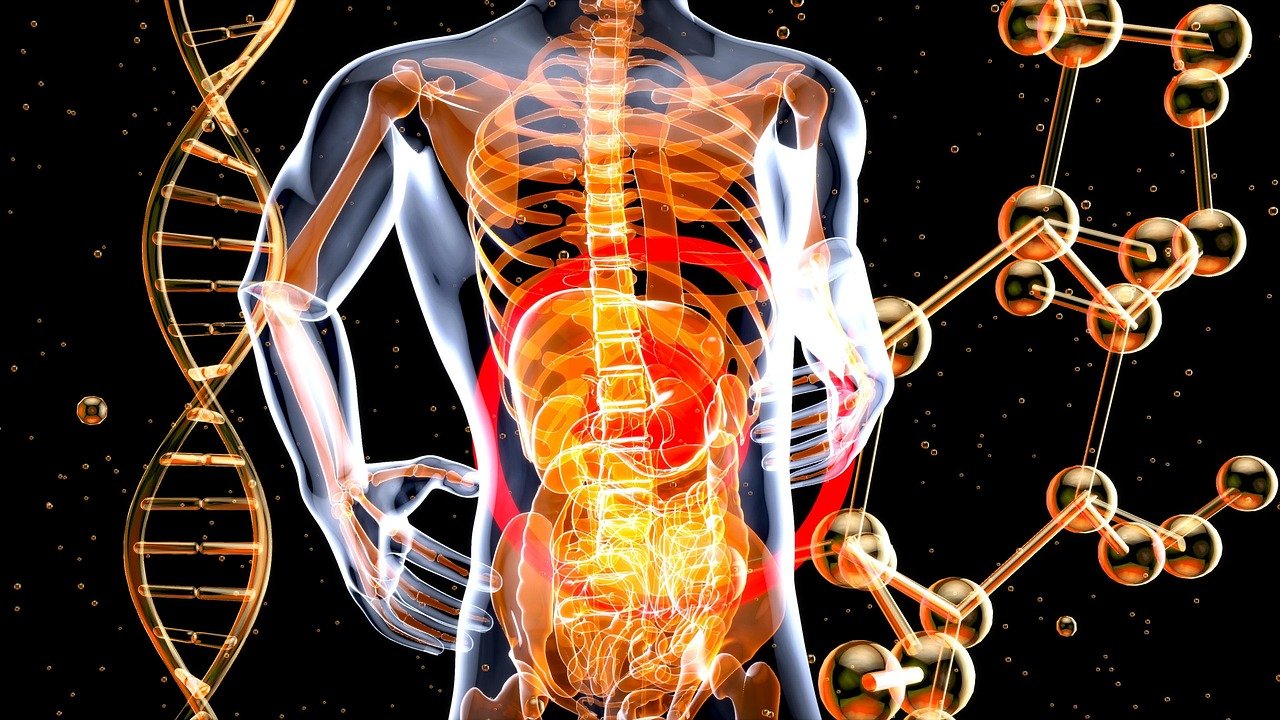 entdecken sie die besten tipps und tricks für ein erfülltes und gesundes leben. unser artikel bietet ihnen wertvolle informationen zu wellness, ernährung und persönlichem wachstum.