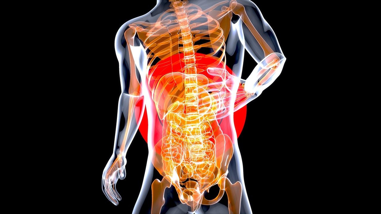 entdecken sie tipps und ratschläge zur förderung ihrer darmgesundheit. erfahren sie, wie eine ausgewogene ernährung und lebensstiländerungen ihr wohlbefinden steigern können.