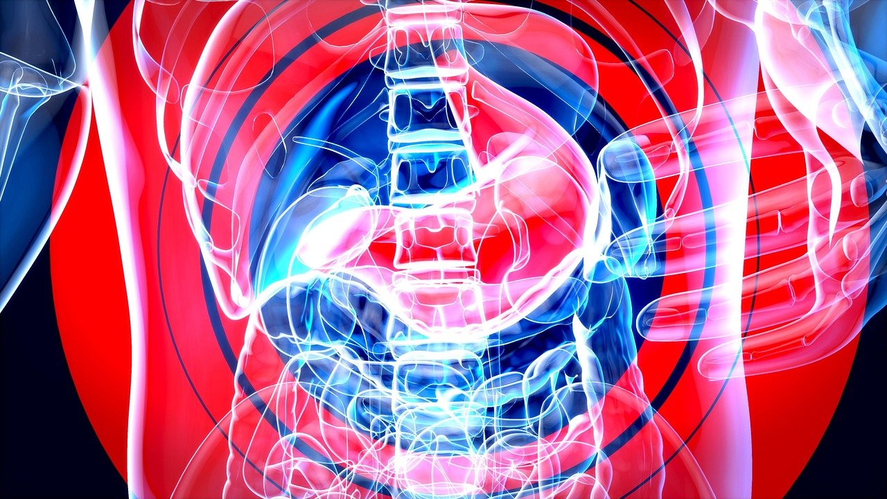 entdecken sie die besten tipps und ratschläge, um ihr wohlbefinden zu steigern und ein erfülltes leben zu führen. erfahren sie mehr über gesunde lebensgewohnheiten, mentale stärke und wie sie gut leben können.