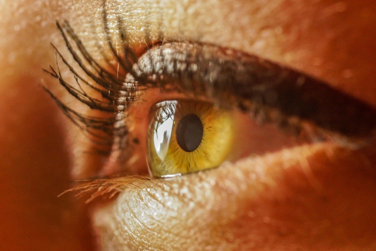 entdecken sie innovative gesundheitsvisionen, die ihnen helfen, ein besseres leben zu führen. erfahren sie mehr über moderne ansätze zur förderung des wohlbefindens und zur verbesserung ihrer lebensqualität.