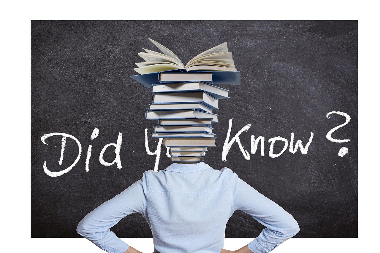 Allgemeinwissen testen: Wie gut sind Ihre Kenntnisse?