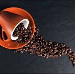 entdecken sie die faszinierende welt des kaffees! von kaffeevariationen und brühtechniken bis hin zu den besten sorten - alles, was sie wissen müssen, um ihren perfekten kaffee zu genießen.