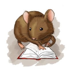 entdecken sie spannende abenteuerbücher für kinder, die die fantasie anregen und die leidenschaft für das lesen fördern. ideal für junge entdecker und leseratten!