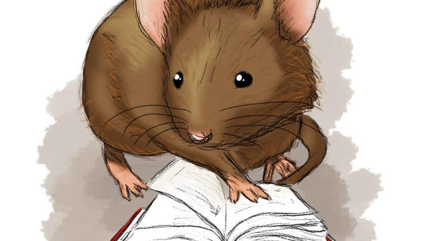 entdecken sie spannende abenteuerbücher für kinder, die die fantasie anregen und die leidenschaft für das lesen fördern. ideal für junge entdecker und leseratten!