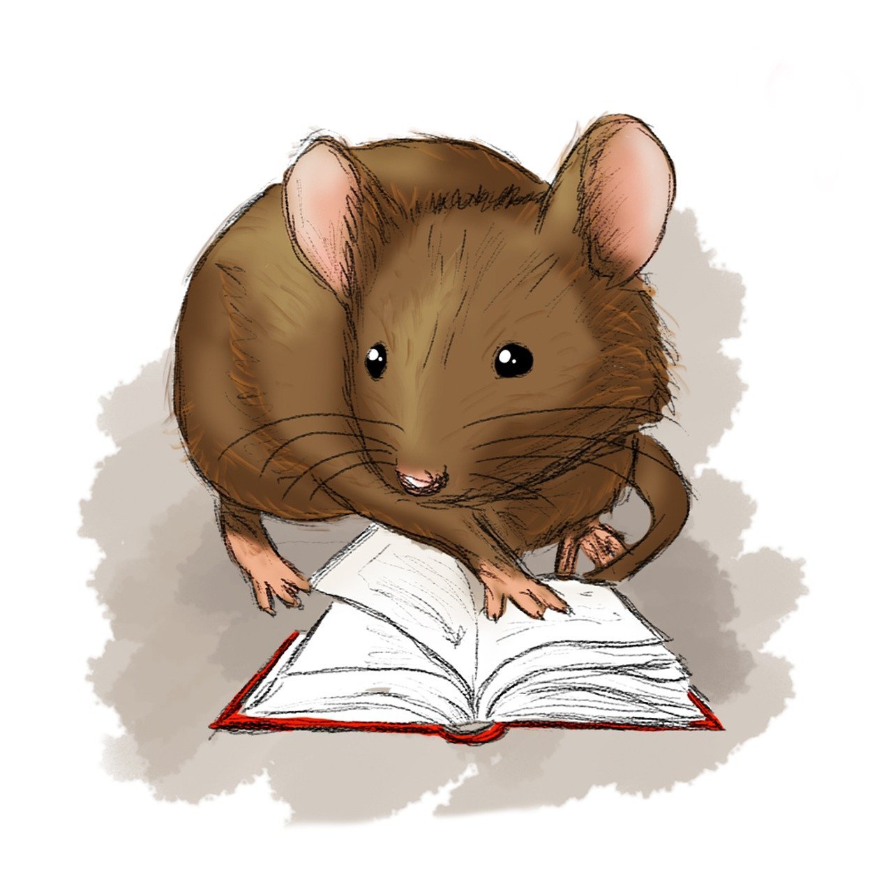 Entdeckungsreise f&uuml;r Kinder: 9 spannende B&uuml;cher mit Abenteuern und Geschichten f&uuml;r die Urlaubszeit